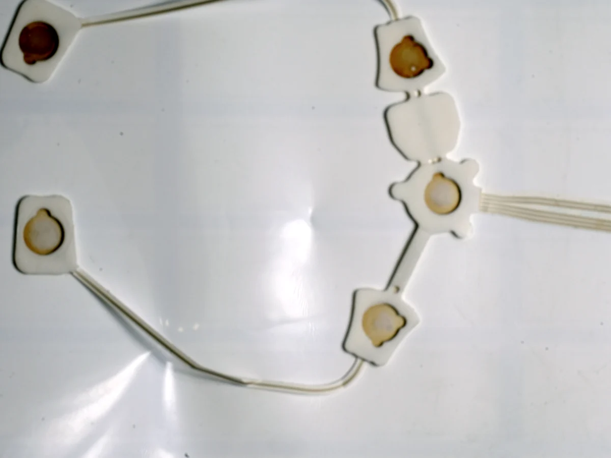 rear construction of a flexible multi-contact ECG electrode array