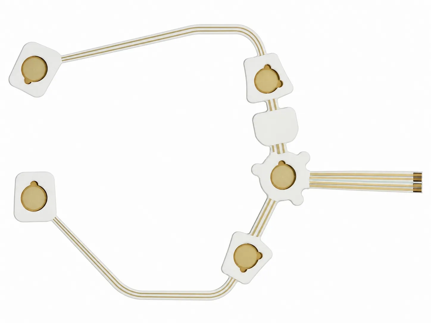 Branched five-electrode flexible printed ECG sensor array with connector tail